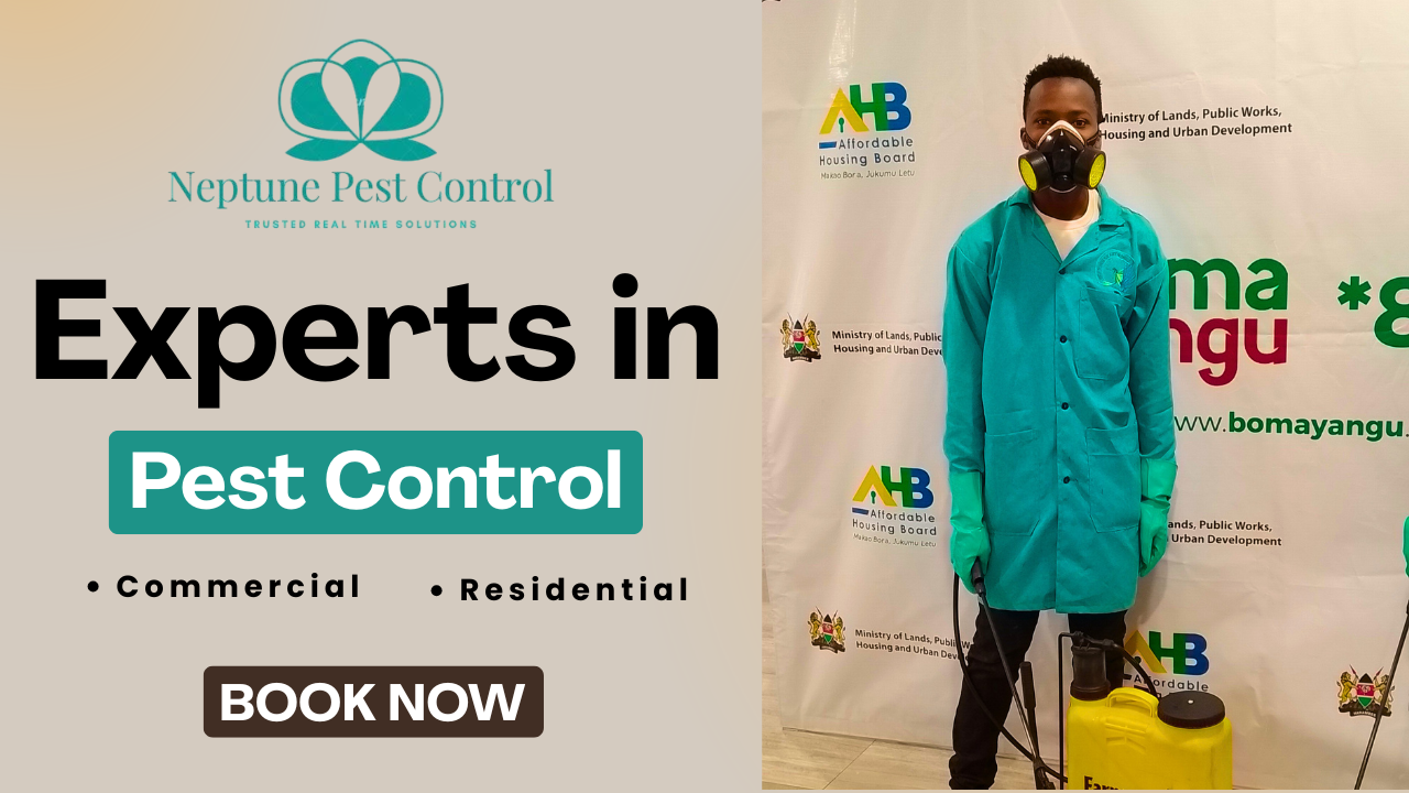 Book Your Pest Control Services